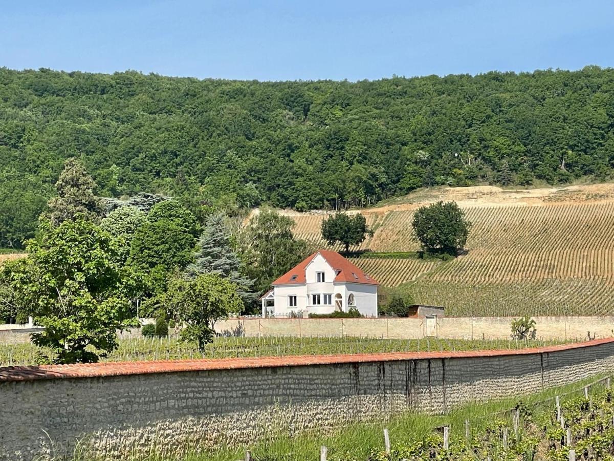Villa De La Roseraie Rully  Eksteriør bilde