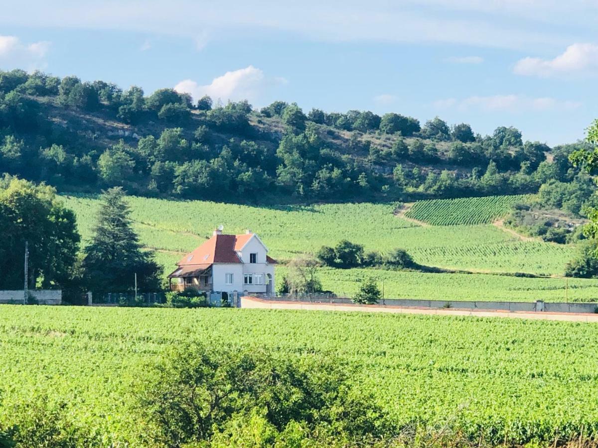Villa De La Roseraie Rully  Eksteriør bilde